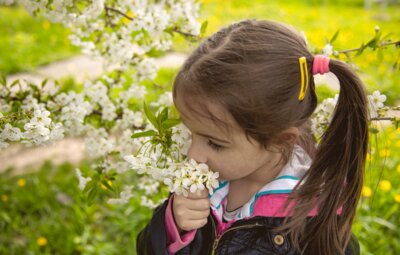 close-up-little-girl-sniffing-blossoming-tree-branch_kl.gif