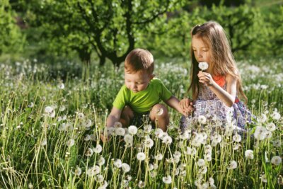 little-girl-boy-enjoy-dandelions-field-green-meadow-spring-sunny-day_kl.gif