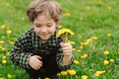 curly-boy-collects-sniffs-dandelion-flowers_kl.gif